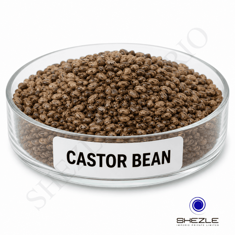 Castor Bean