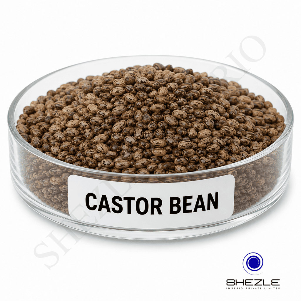 Castor Bean