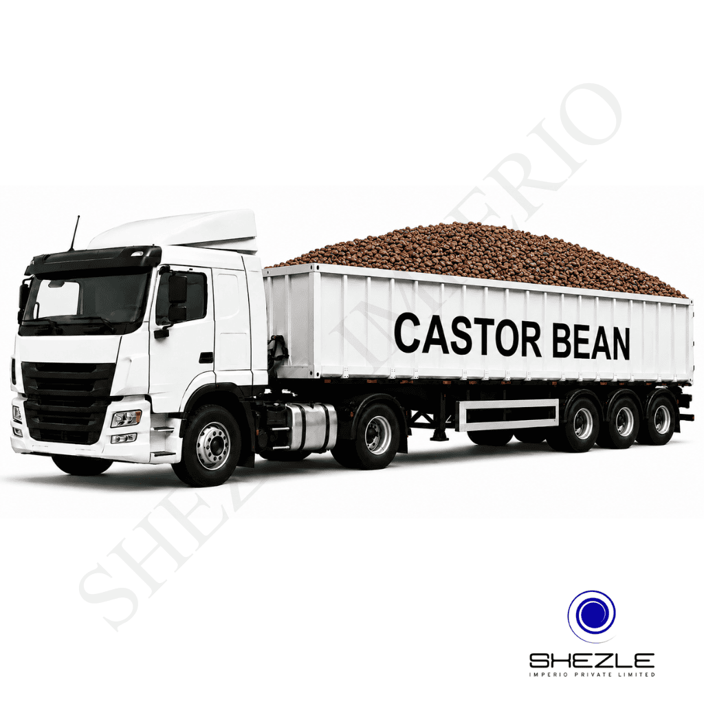 Castor Bean - Image 3