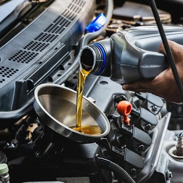 Trusted Auto Repair Services in Brighton, VIC